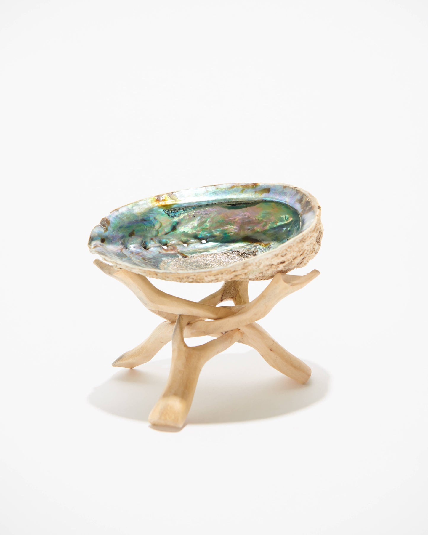 Abalone Shell Smudge Bowl | Natural Sage Burner: Small (2"-3")