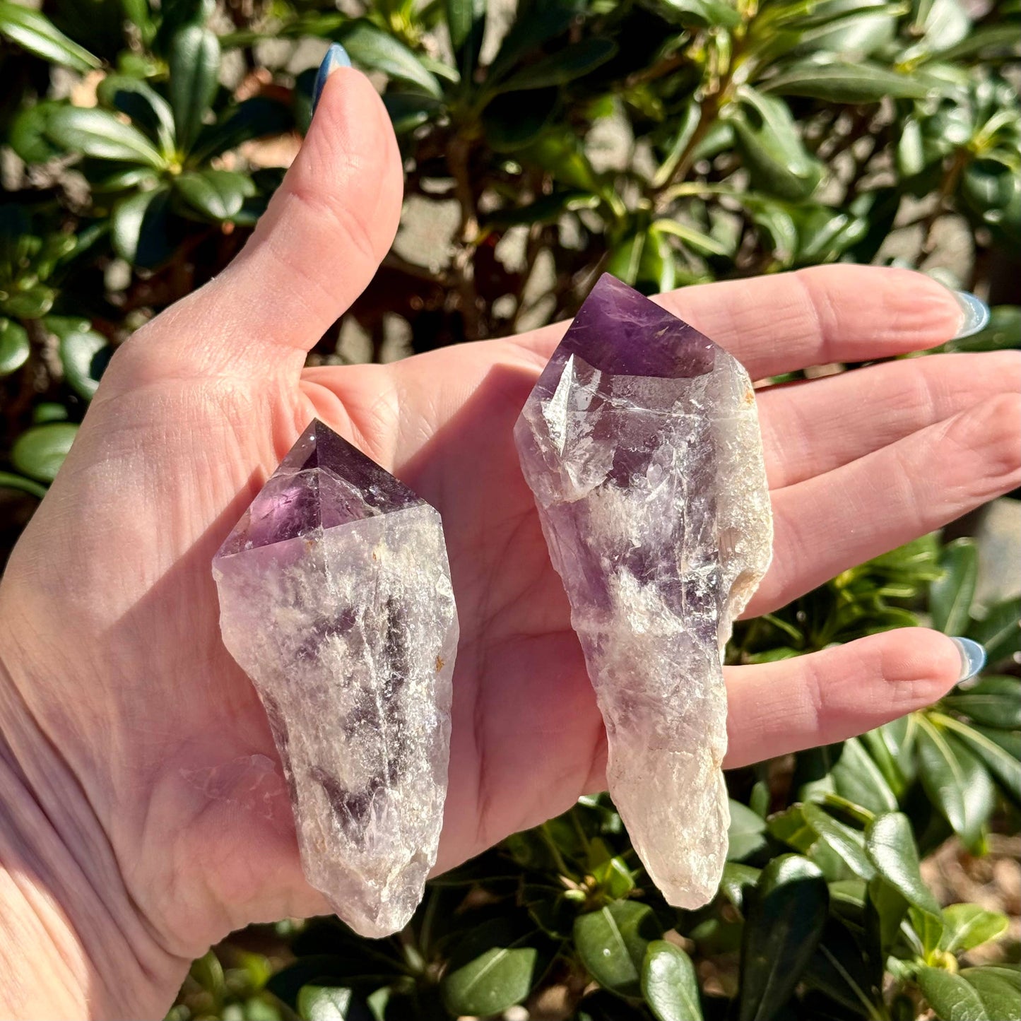 XL Amethyst Points - Limited Stock: Large