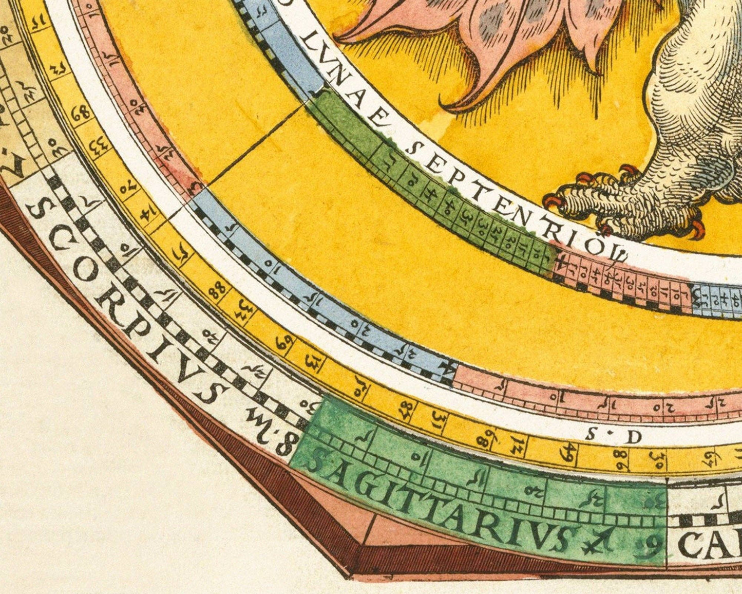 16th Century Astrolabe Antique Astronomy Print with Dragon: 11x14 Inches