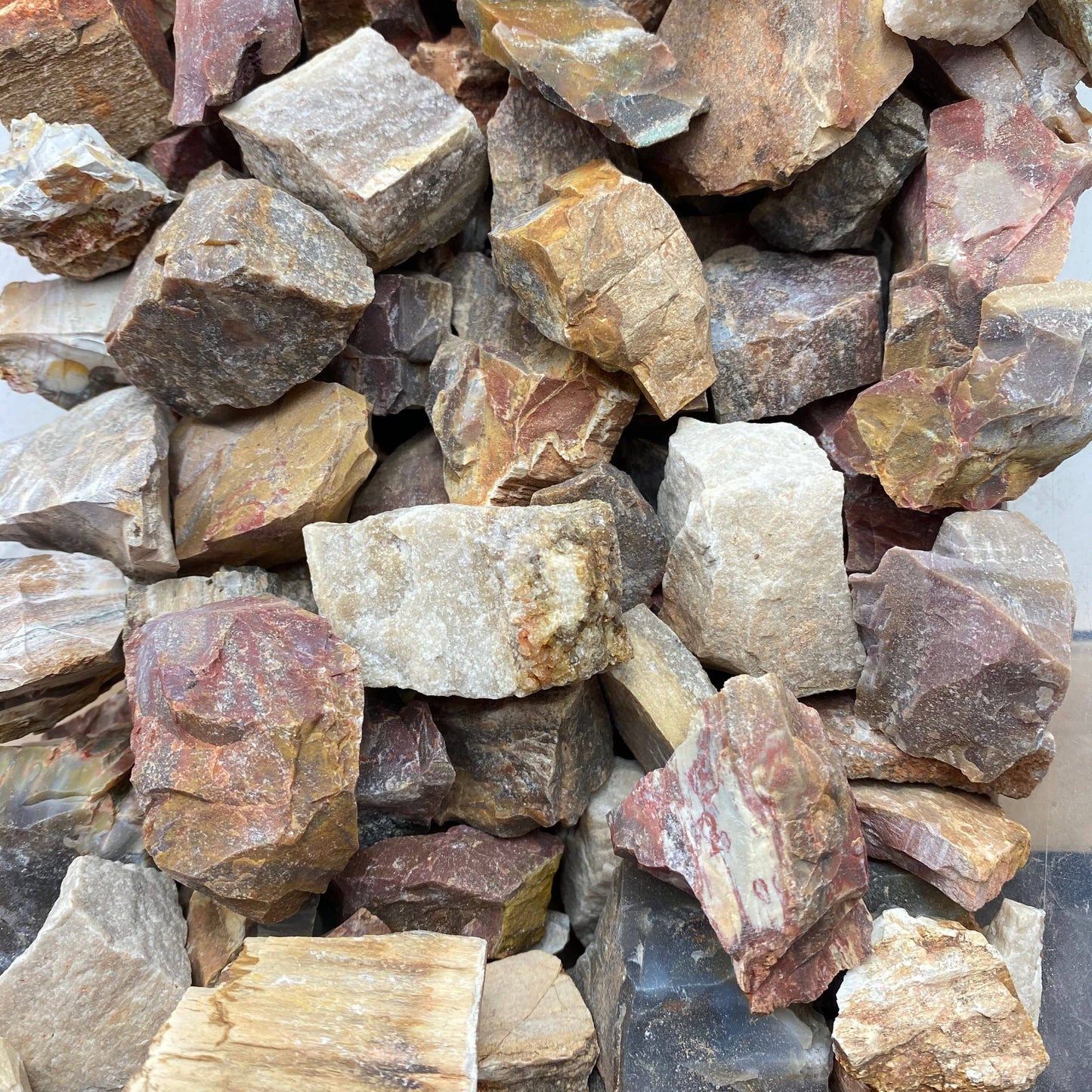 1 piece of Petrified Wood Rough