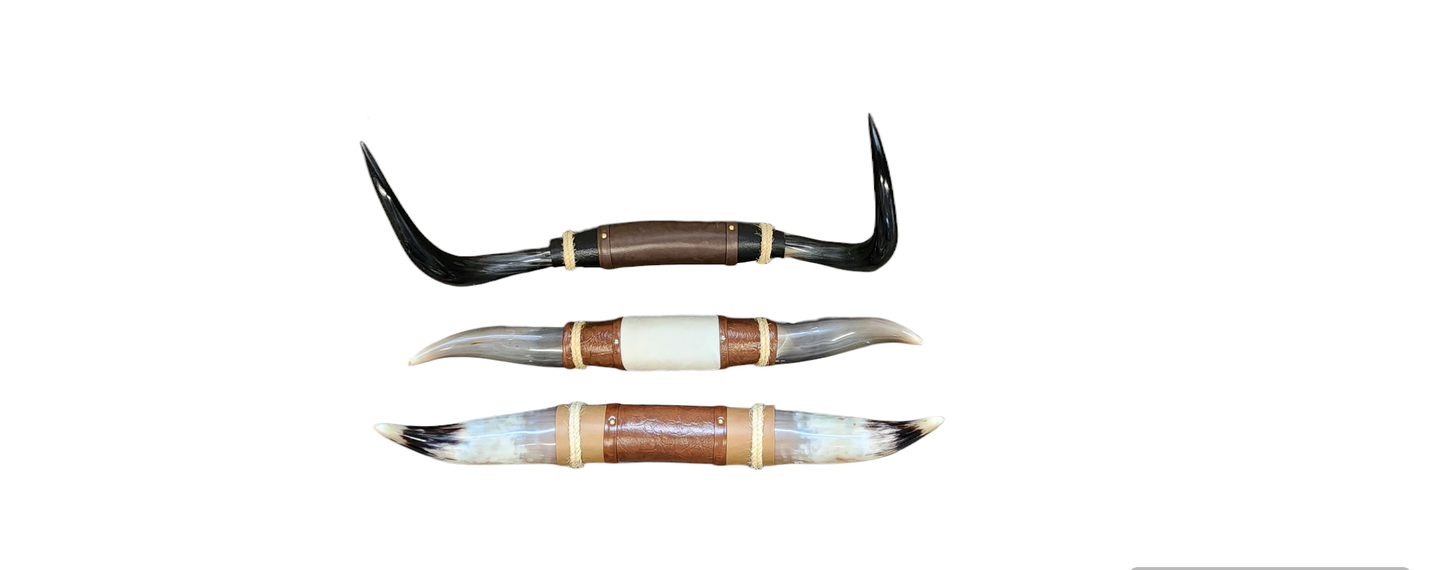 Assorted Med. Steer Horns
