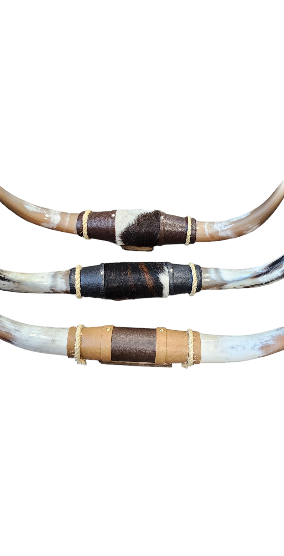 Assorted Small steer horns