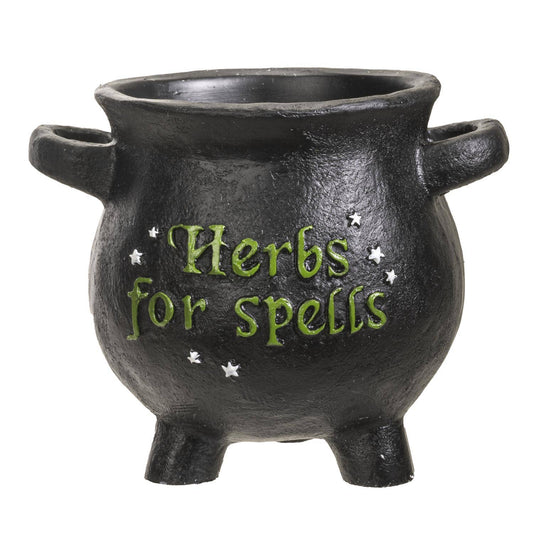 Herbs for Spells Cauldron Planter