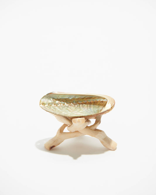 Abalone Shell Smudge Bowl | Natural Sage Burner: Small (2"-3")
