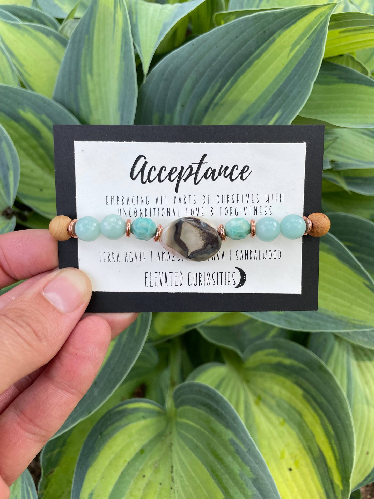 Elevated Curiosity Intention Bracelet