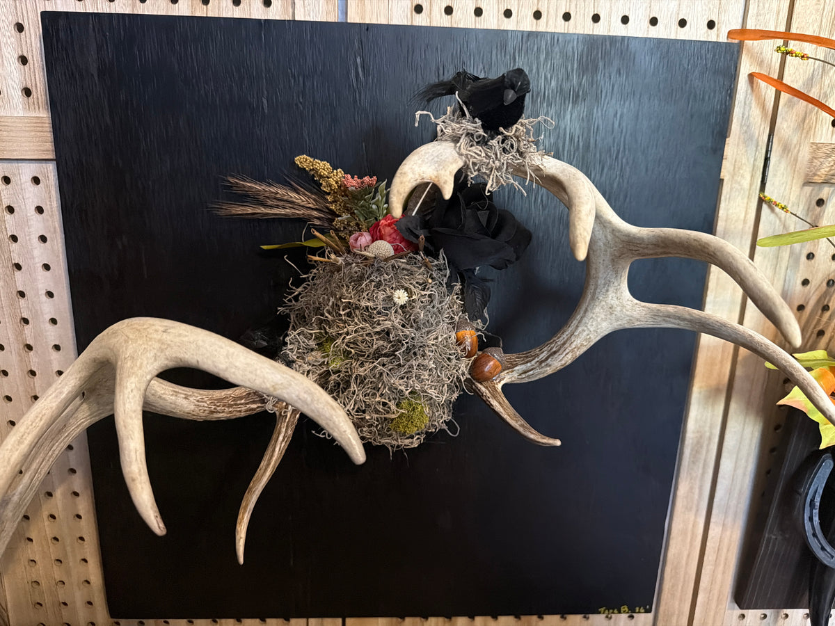 Antler wall mount