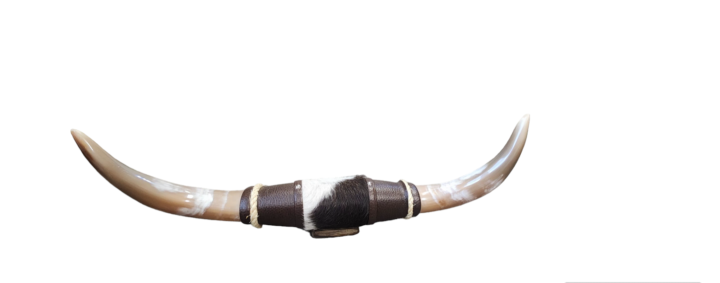 Assorted Small steer horns