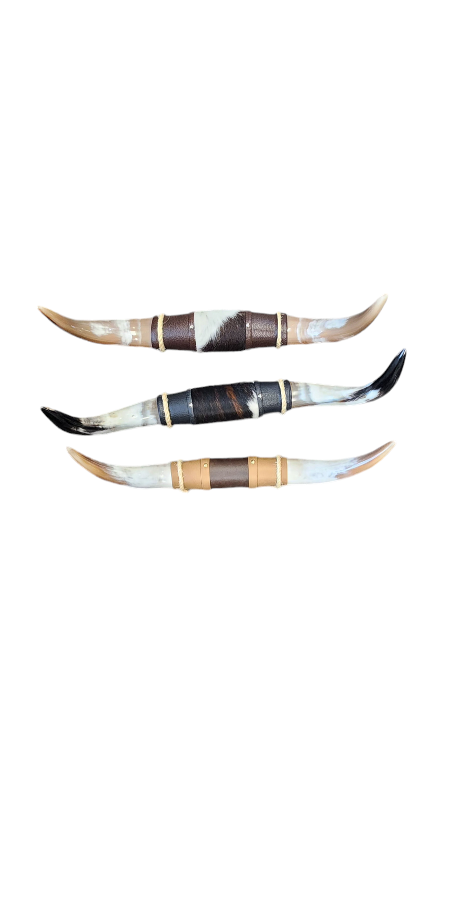 Assorted Small steer horns