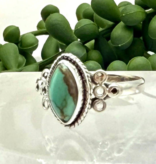 Turquoise Semi-Precious Gemstone 925/Sterling Silver Ring: 8