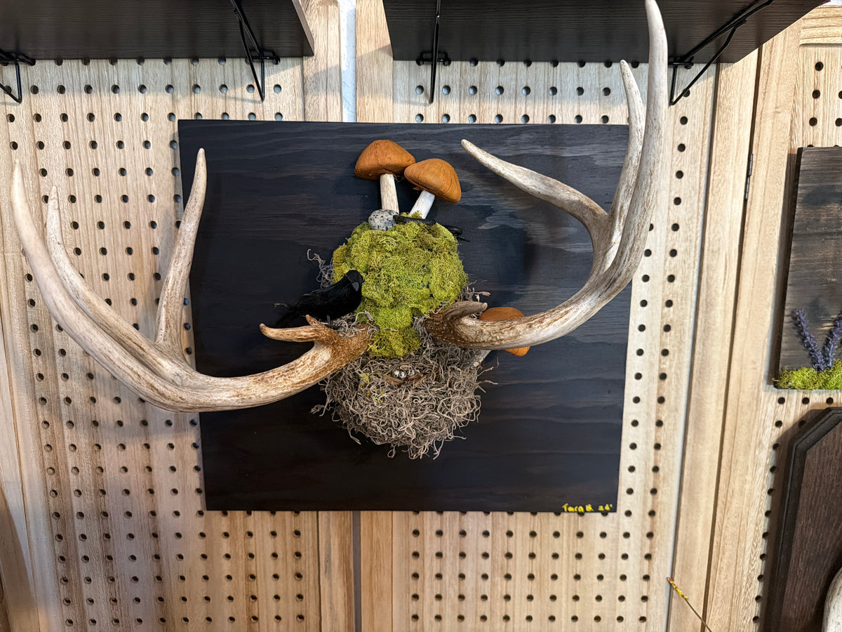 Antler wall mount