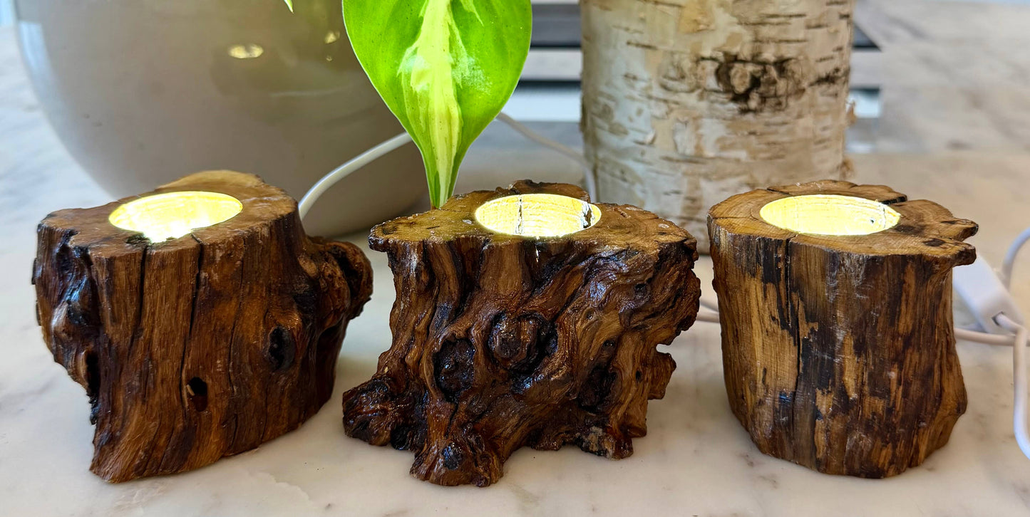USB powered Wooden LED light stand