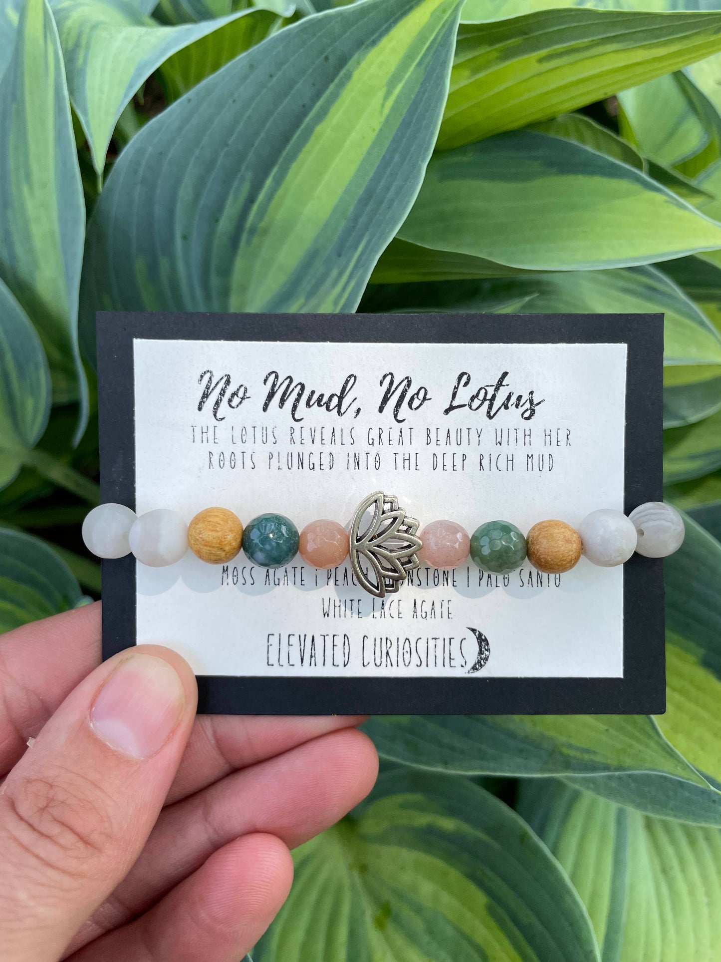 Elevated Curiosity Intention Bracelet