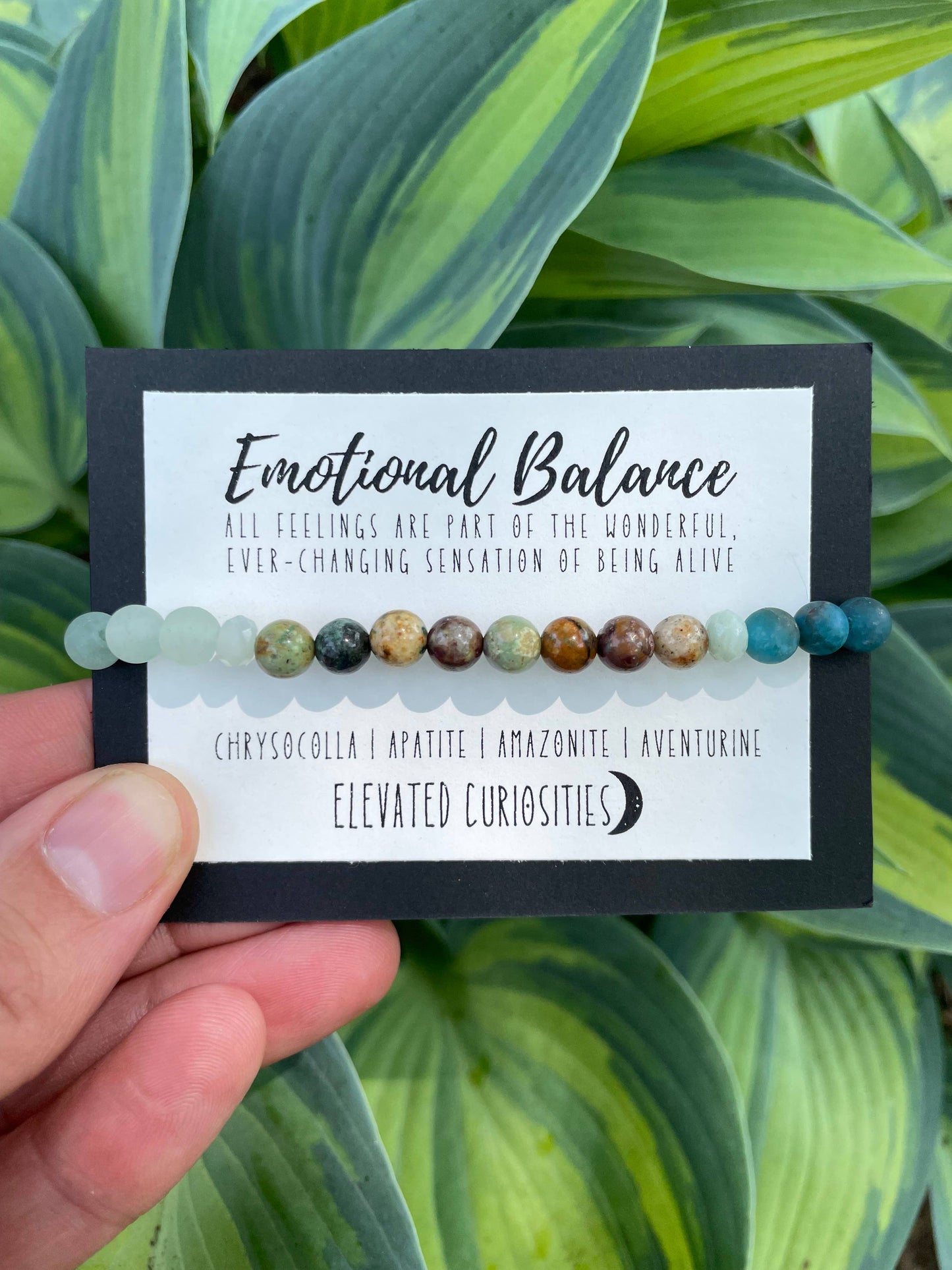 Elevated Curiosity Intention Bracelet