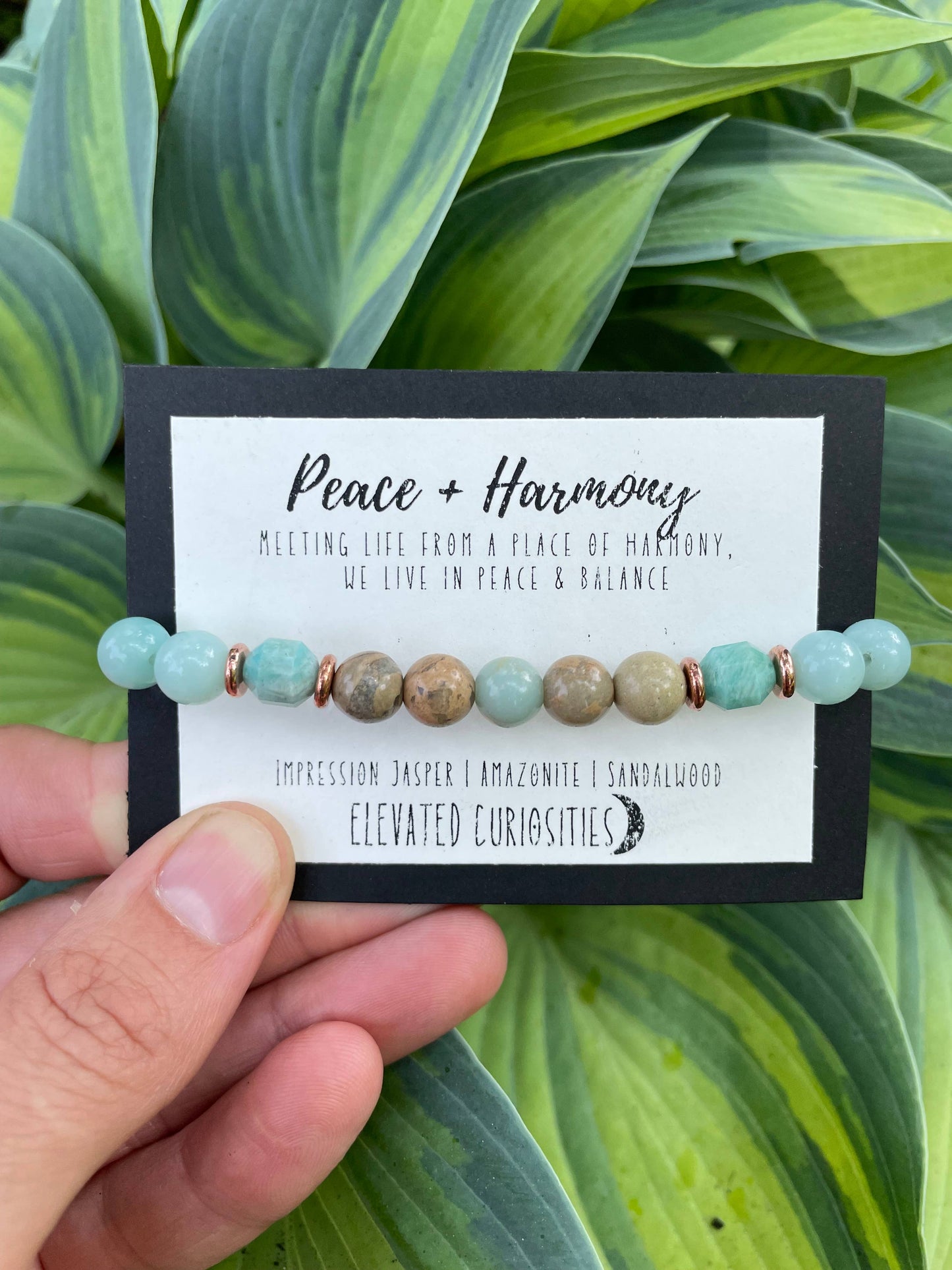 Elevated Curiosity Intention Bracelet