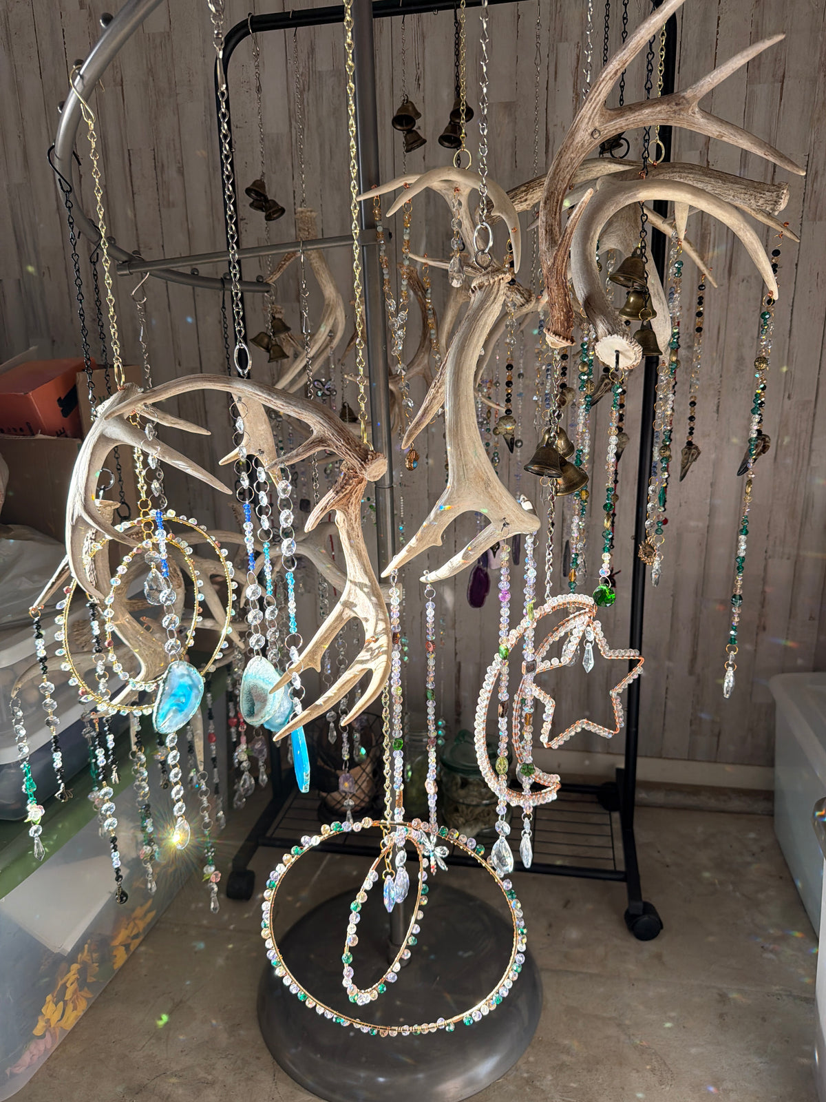 Deer Antler Sun catchers