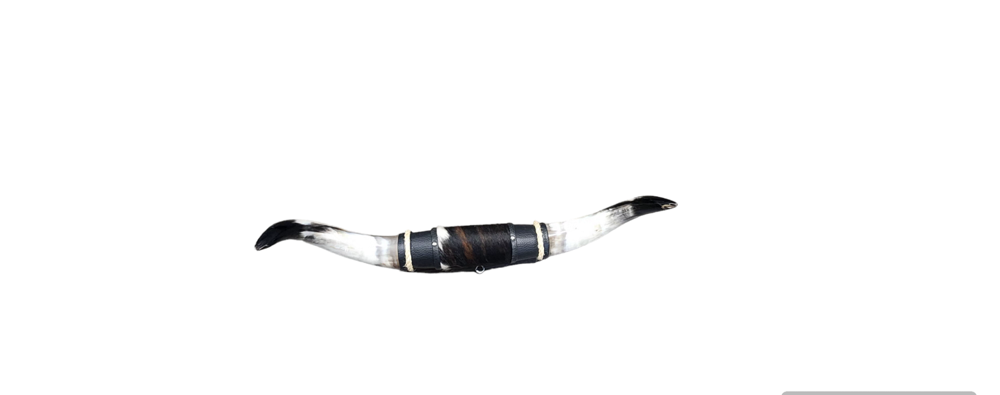 Assorted Small steer horns